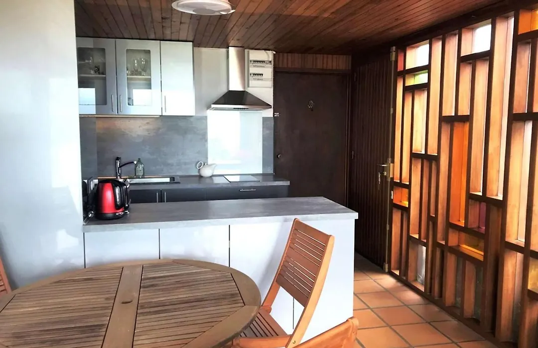 Grande villa avec jacuzzi à La Pointe aux Chevaux - FR-1-736-23-1